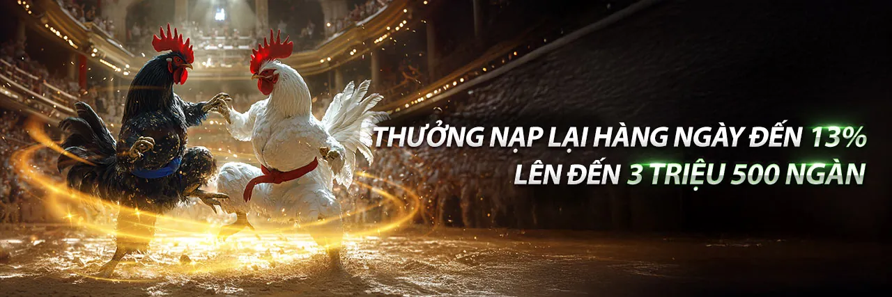 Đá Gà Trực Tiếp Phát Lại CPC3 tại Win2026VN